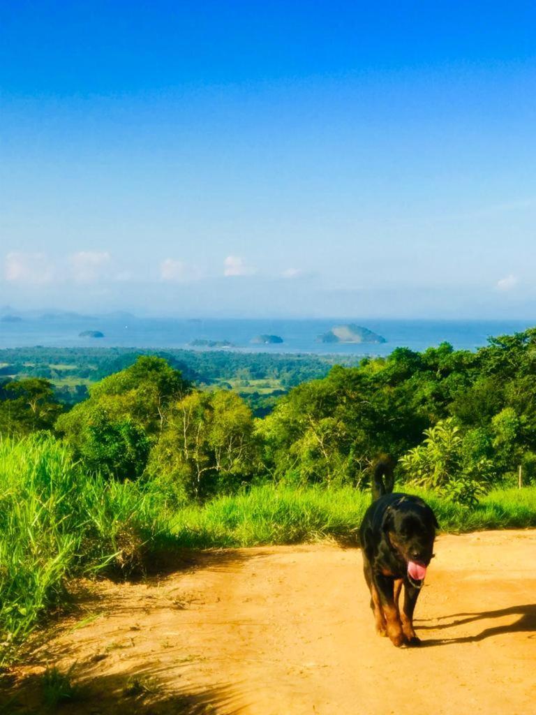 Eco Chales Caminho Das Aguas Barra Grande  Екстериор снимка