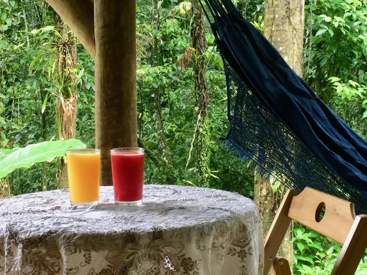 Eco Chales Caminho Das Aguas Barra Grande  Екстериор снимка