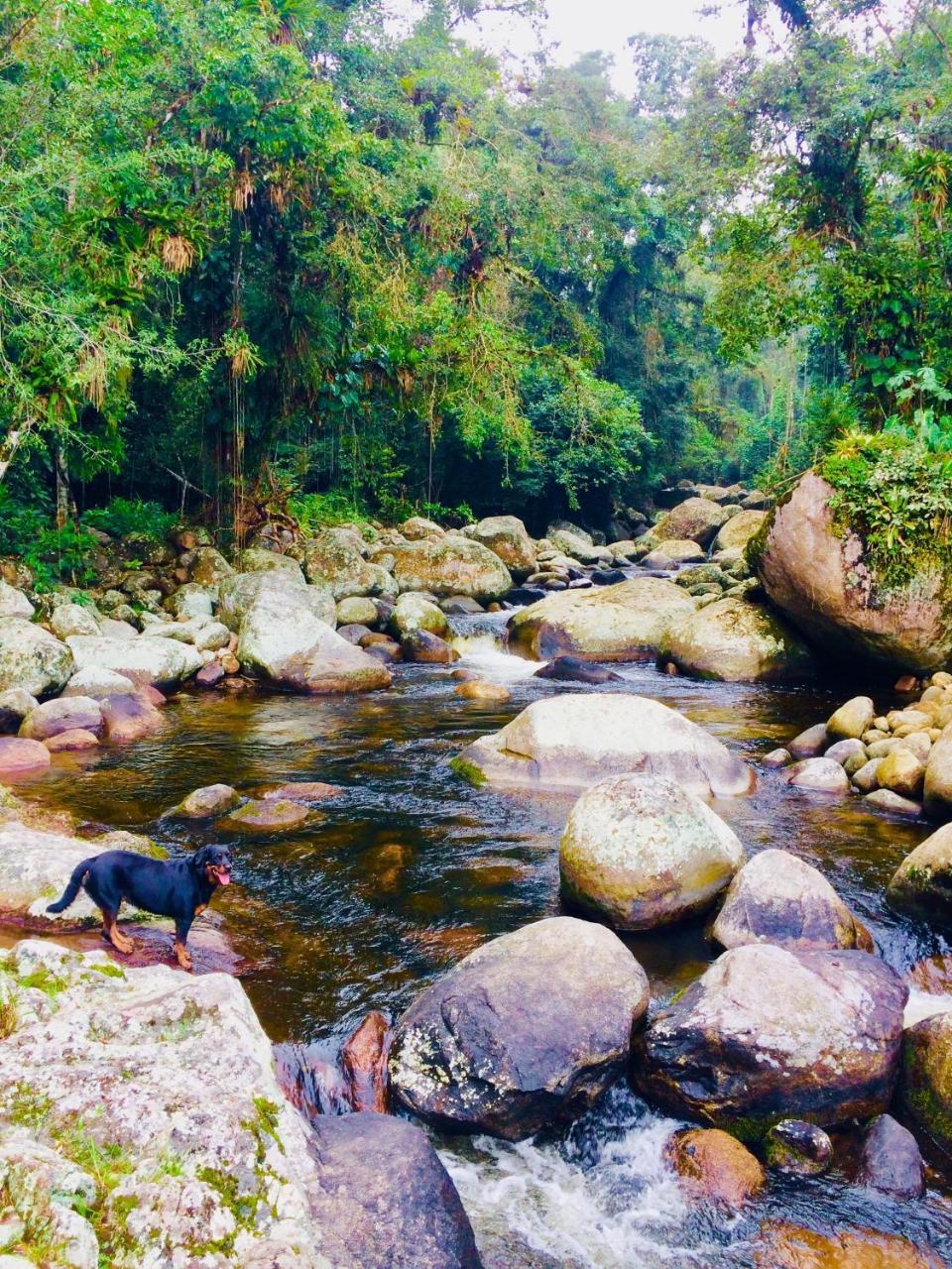 Eco Chales Caminho Das Aguas Barra Grande  Екстериор снимка